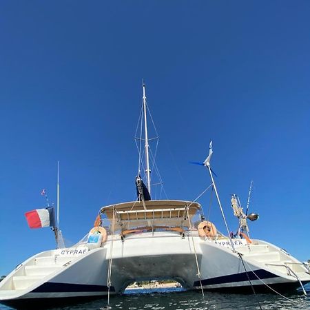 מלון טר-דה-או Catamaran Cypraea מראה חיצוני תמונה