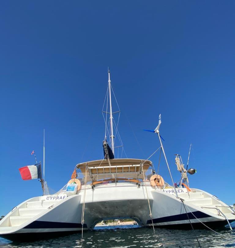 מלון טר-דה-או Catamaran Cypraea מראה חיצוני תמונה